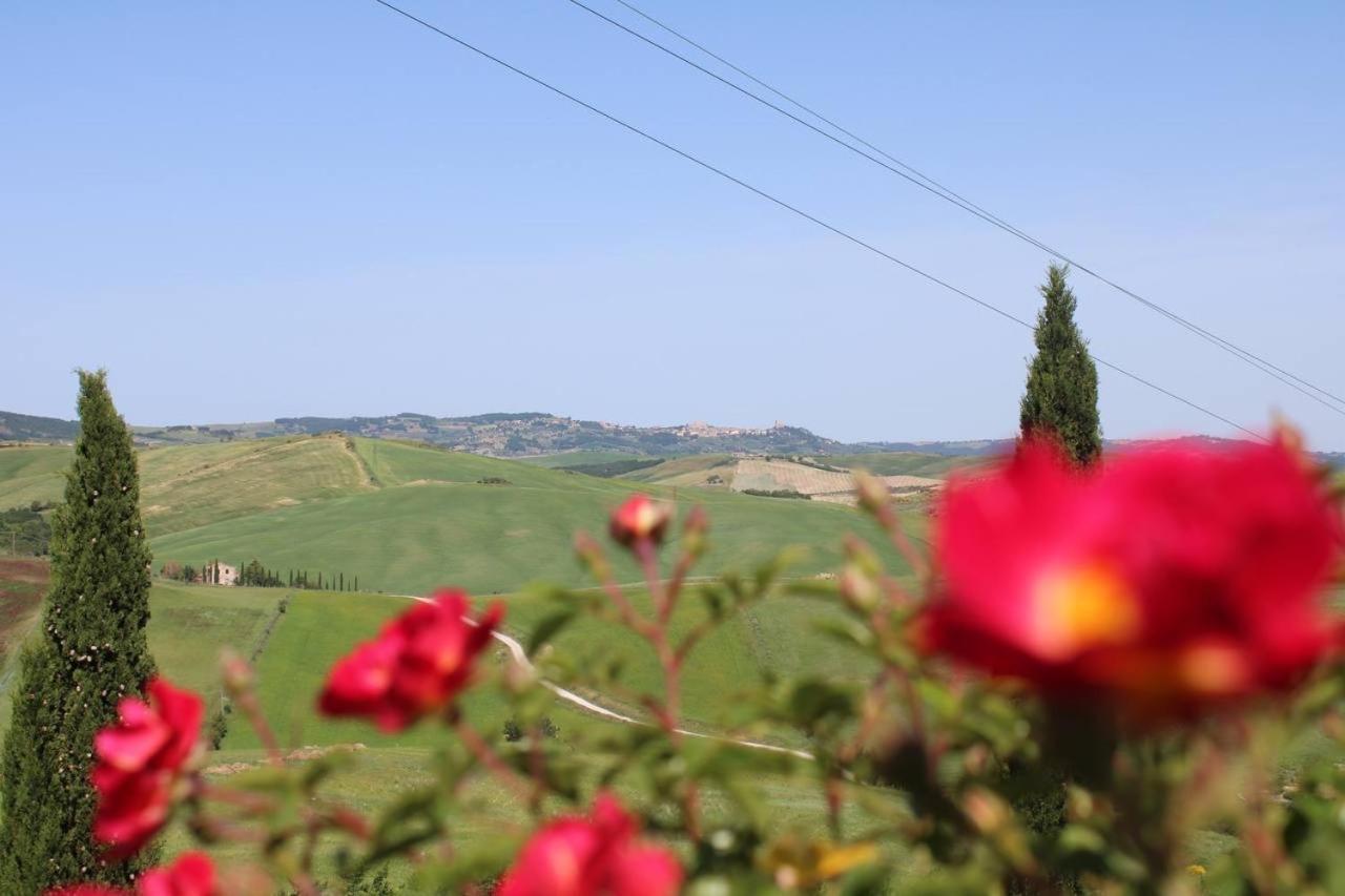Agriturismo La Paciarella Villa Campiglia d'Orcia Ngoại thất bức ảnh