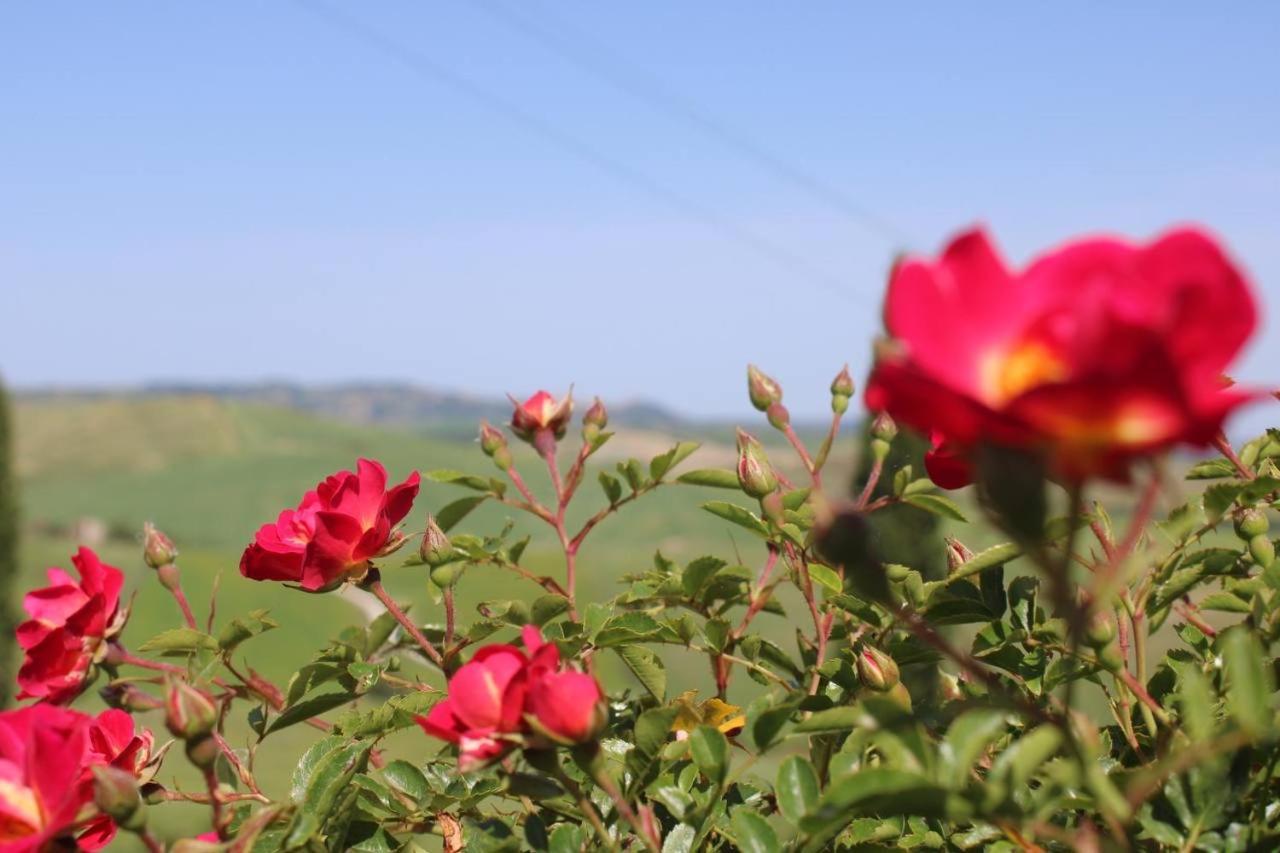 Agriturismo La Paciarella Villa Campiglia d'Orcia Ngoại thất bức ảnh