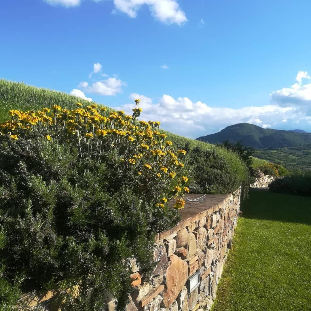 Agriturismo La Paciarella Villa Campiglia d'Orcia Ngoại thất bức ảnh